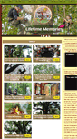 Mobile Screenshot of climbtreeswithearthjoy.com